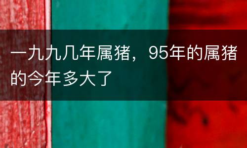一九九几年属猪，95年的属猪的今年多大了