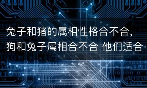 兔子和猪的属相性格合不合，狗和兔子属相合不合 他们适合结婚吗