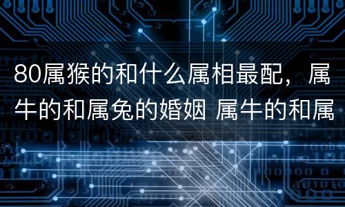80属猴的和什么属相最配，属牛的和属兔的婚姻 属牛的和属兔的