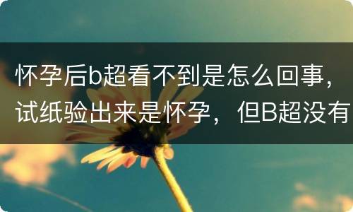 怀孕后b超看不到是怎么回事，试纸验出来是怀孕，但B超没有检查出来，小腹