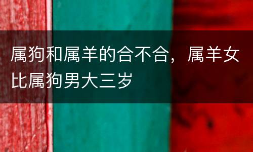 属狗和属羊的合不合，属羊女比属狗男大三岁