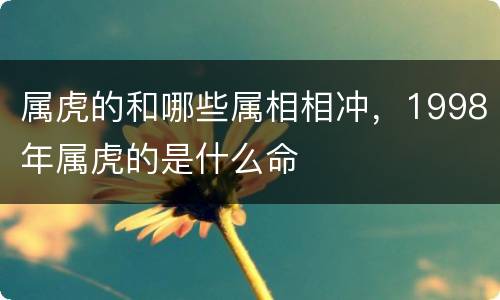 属虎的和哪些属相相冲，1998年属虎的是什么命