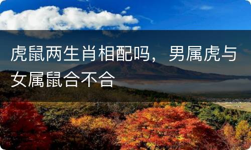 虎鼠两生肖相配吗，男属虎与女属鼠合不合