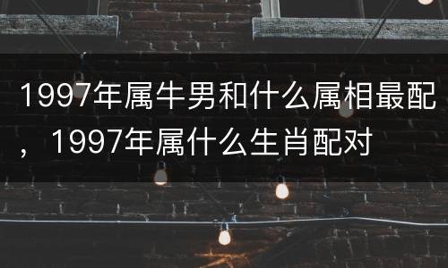 1997年属牛男和什么属相最配，1997年属什么生肖配对