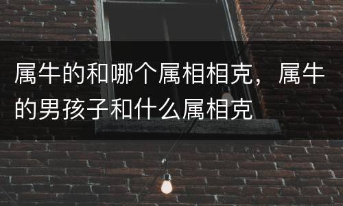 属牛的和哪个属相相克，属牛的男孩子和什么属相克