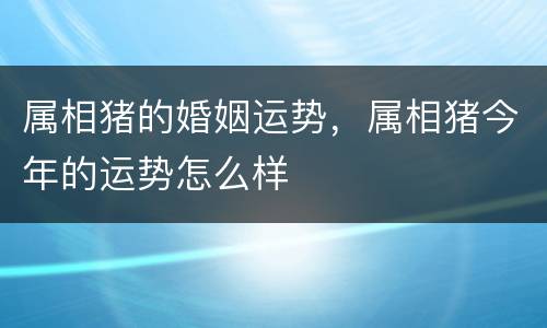 属相猪的婚姻运势，属相猪今年的运势怎么样