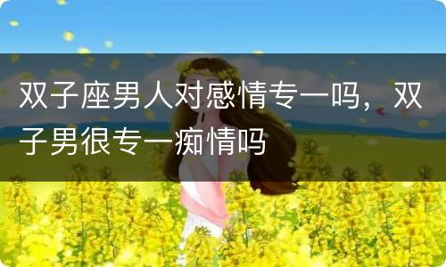 双子座男人对感情专一吗，双子男很专一痴情吗