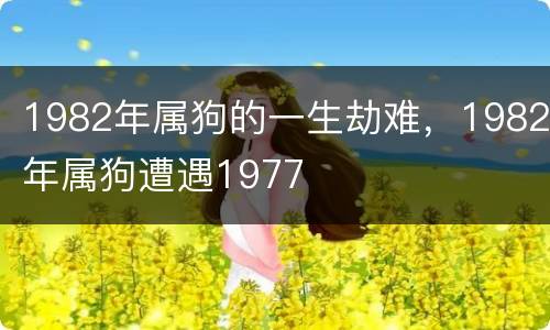 1982年属狗的一生劫难，1982年属狗遭遇1977
