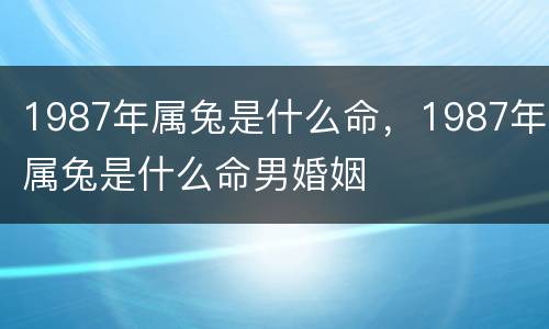 1987年属兔是什么命，1987年属兔是什么命男婚姻