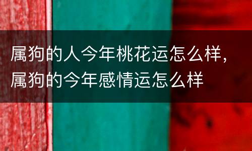 属狗的人今年桃花运怎么样，属狗的今年感情运怎么样