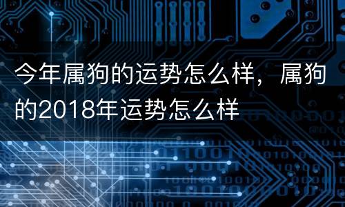 今年属狗的运势怎么样，属狗的2018年运势怎么样