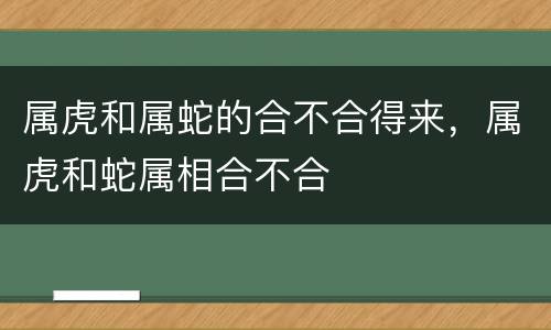 属虎和属蛇的合不合得来，属虎和蛇属相合不合