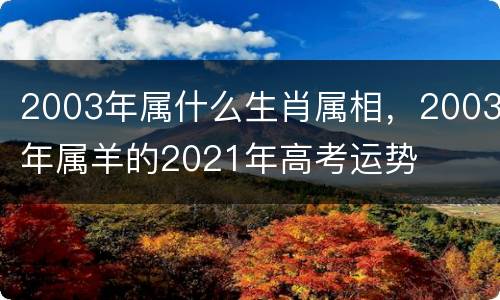 2003年属什么生肖属相，2003年属羊的2021年高考运势