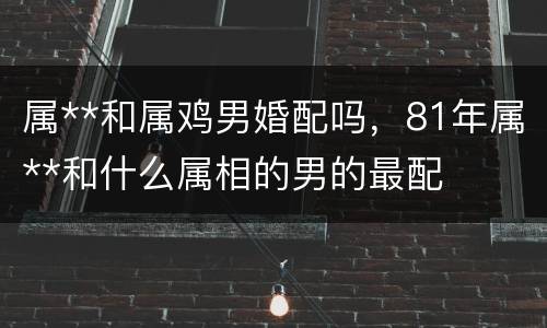 属**和属鸡男婚配吗，81年属**和什么属相的男的最配