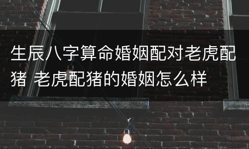 生辰八字算命婚姻配对老虎配猪 老虎配猪的婚姻怎么样