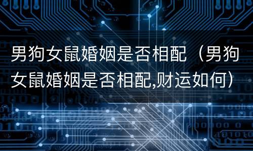 男狗女鼠婚姻是否相配（男狗女鼠婚姻是否相配,财运如何）