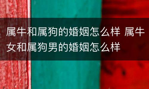 属牛和属狗的婚姻怎么样 属牛女和属狗男的婚姻怎么样