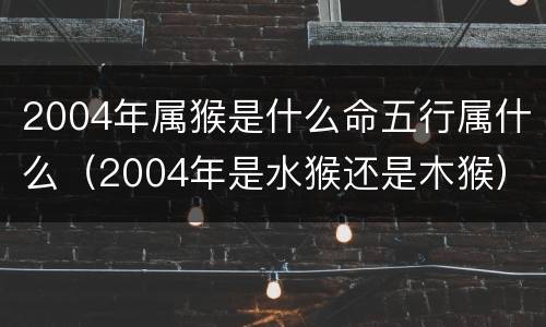 2004年属猴是什么命五行属什么（2004年是水猴还是木猴）