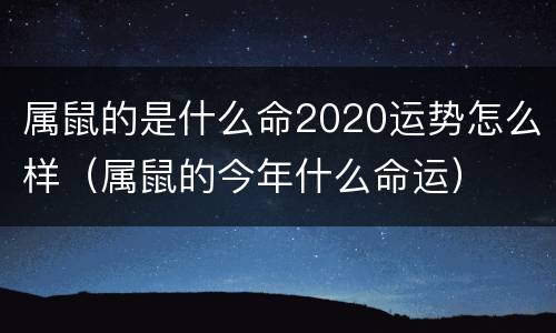 属鼠的是什么命2020运势怎么样（属鼠的今年什么命运）