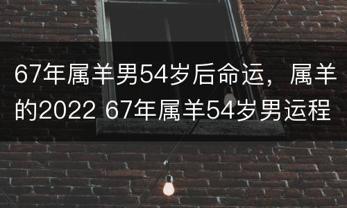 67年属羊男54岁后命运，属羊的2022 67年属羊54岁男运程