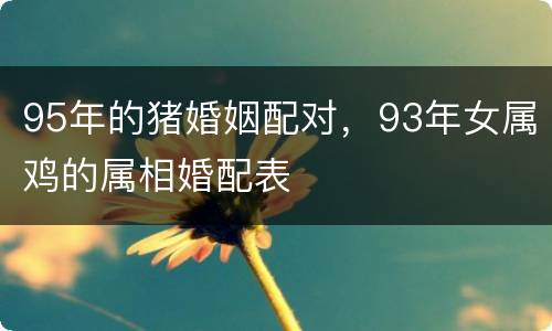 95年的猪婚姻配对，93年女属鸡的属相婚配表