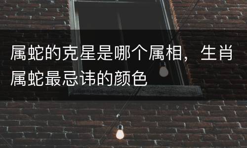 属蛇的克星是哪个属相，生肖属蛇最忌讳的颜色