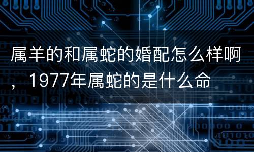 属羊的和属蛇的婚配怎么样啊，1977年属蛇的是什么命