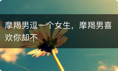 摩羯男逗一个女生，摩羯男喜欢你却不