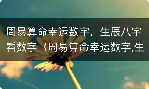 周易算命幸运数字，生辰八字看数字（周易算命幸运数字,生辰八字看数字还是字母）