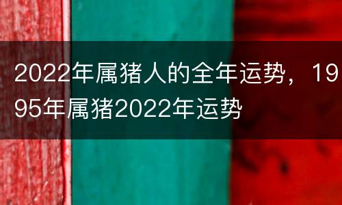 2022年属猪人的全年运势，1995年属猪2022年运势