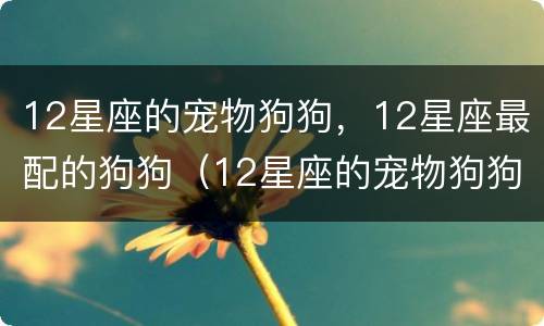 12星座的宠物狗狗，12星座最配的狗狗（12星座的宠物狗狗,12星座最配的狗狗是什么）