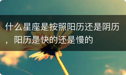 什么星座是按照阳历还是阴历，阳历是快的还是慢的