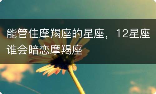 能管住摩羯座的星座，12星座谁会暗恋摩羯座