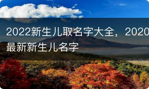 2022新生儿取名字大全，2020最新新生儿名字