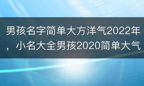 男孩名字简单大方洋气2022年，小名大全男孩2020简单大气