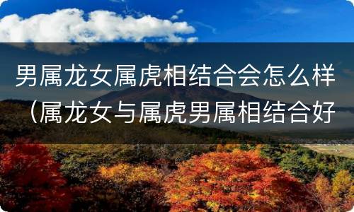 男属龙女属虎相结合会怎么样（属龙女与属虎男属相结合好吗）