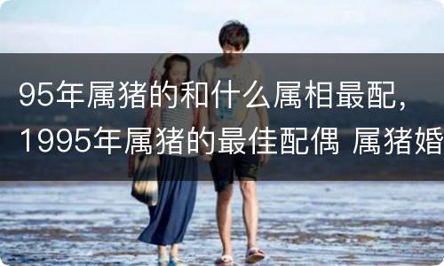 95年属猪的和什么属相最配，1995年属猪的最佳配偶 属猪婚