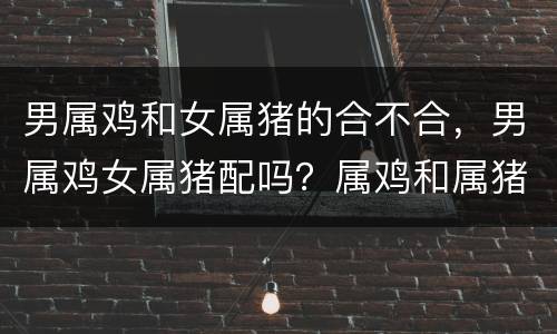 男属鸡和女属猪的合不合，男属鸡女属猪配吗？属鸡和属猪配吗