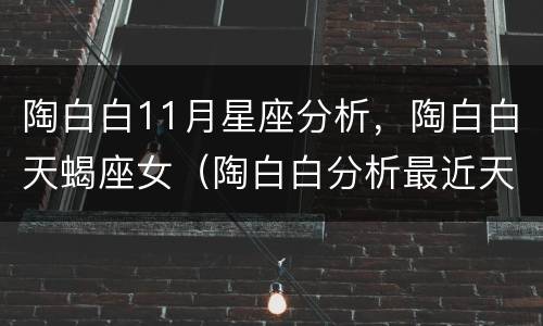 陶白白11月星座分析，陶白白天蝎座女（陶白白分析最近天蝎座女）