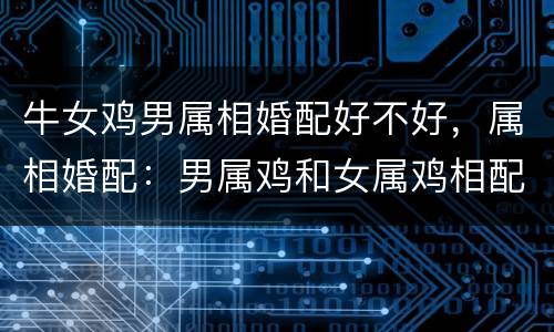 牛女鸡男属相婚配好不好，属相婚配：男属鸡和女属鸡相配吗