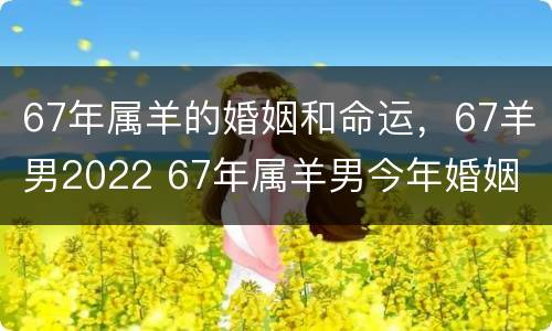67年属羊的婚姻和命运，67羊男2022 67年属羊男今年婚姻
