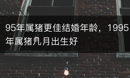 95年属猪更佳结婚年龄，1995年属猪几月出生好