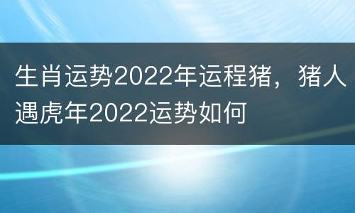 生肖运势2022年运程猪，猪人遇虎年2022运势如何