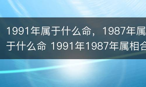 1991年属于什么命，1987年属于什么命 1991年1987年属相合不合的来