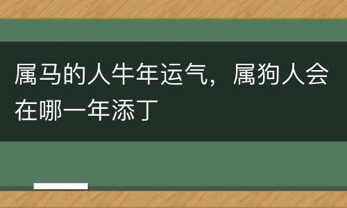 属马的人牛年运气，属狗人会在哪一年添丁