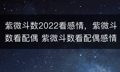 紫微斗数2022看感情，紫微斗数看配偶 紫微斗数看配偶感情专一