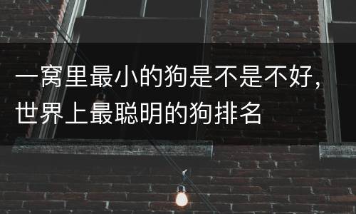 一窝里最小的狗是不是不好，世界上最聪明的狗排名