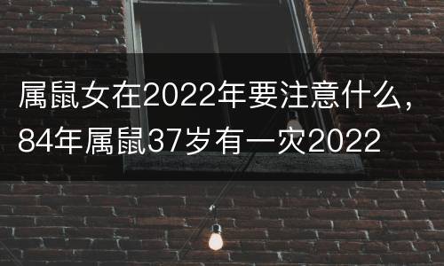 属鼠女在2022年要注意什么，84年属鼠37岁有一灾2022