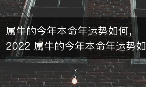 属牛的今年本命年运势如何，2022 属牛的今年本命年运势如何每自