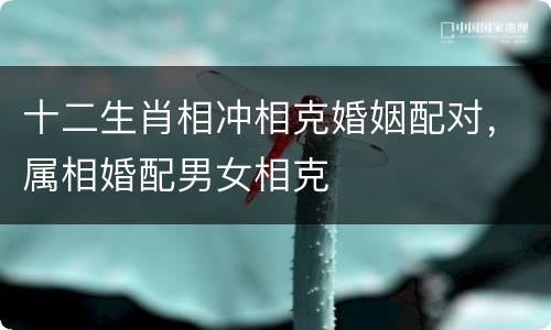 十二生肖相冲相克婚姻配对，属相婚配男女相克